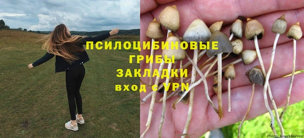 герыч Абаза